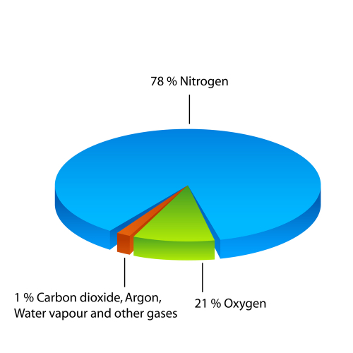 Pie chart showing content of the air